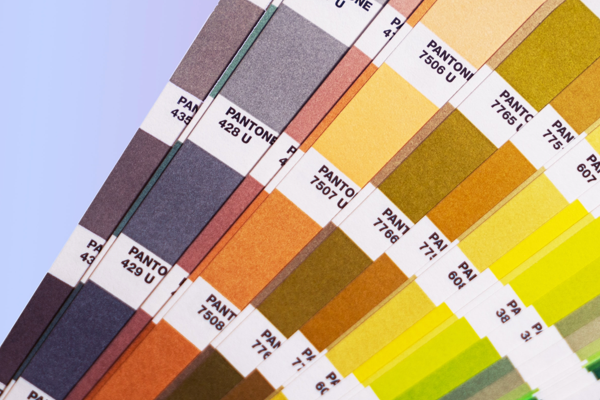 Color Card
