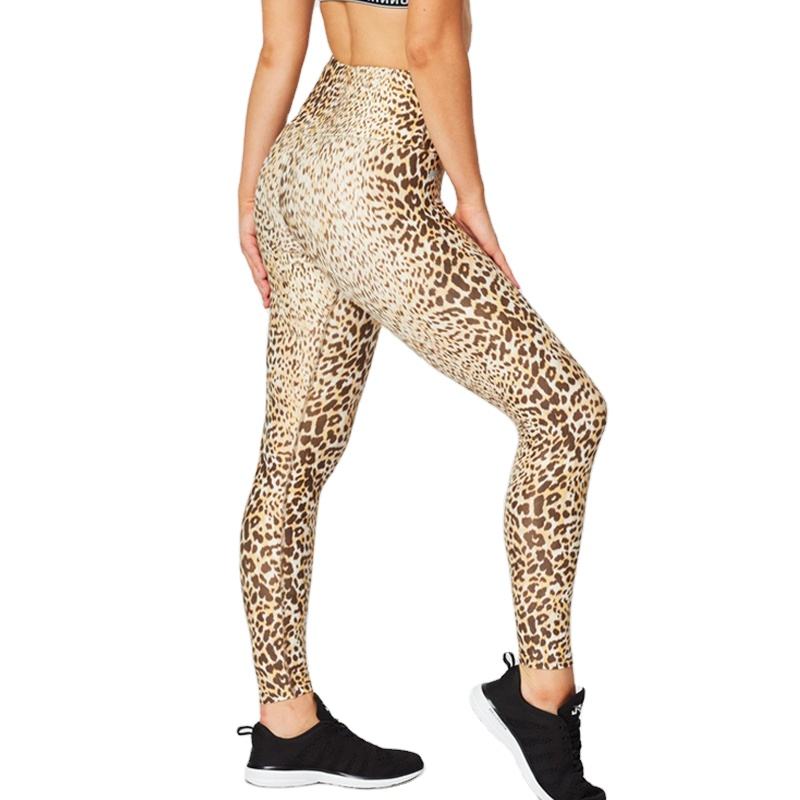 yoga legging 4